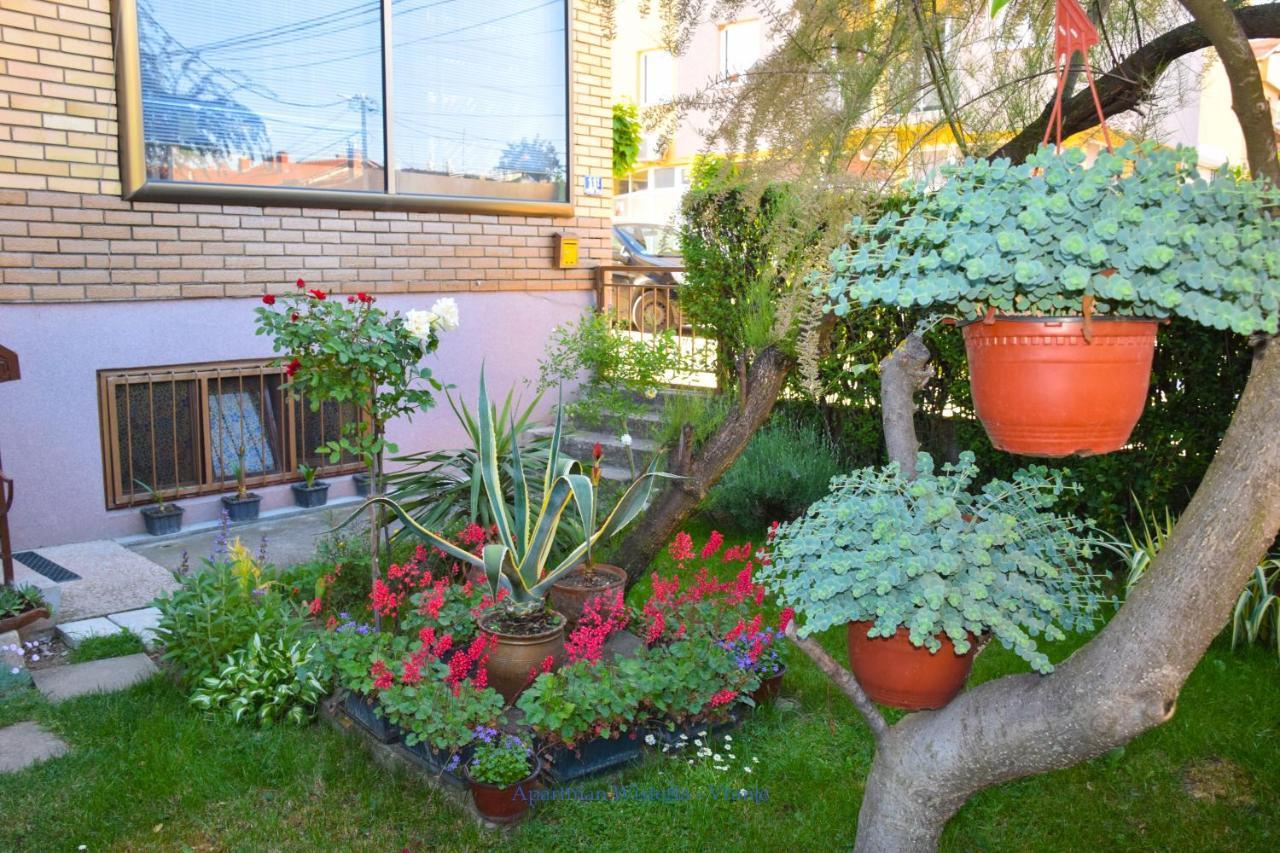 Apartman Wisteria فرانيي المظهر الخارجي الصورة